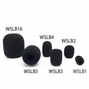 WSLB1 headset windshield budget